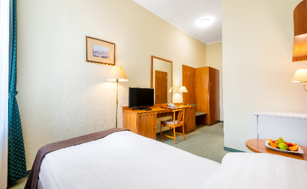Hotel Millennium, Single room