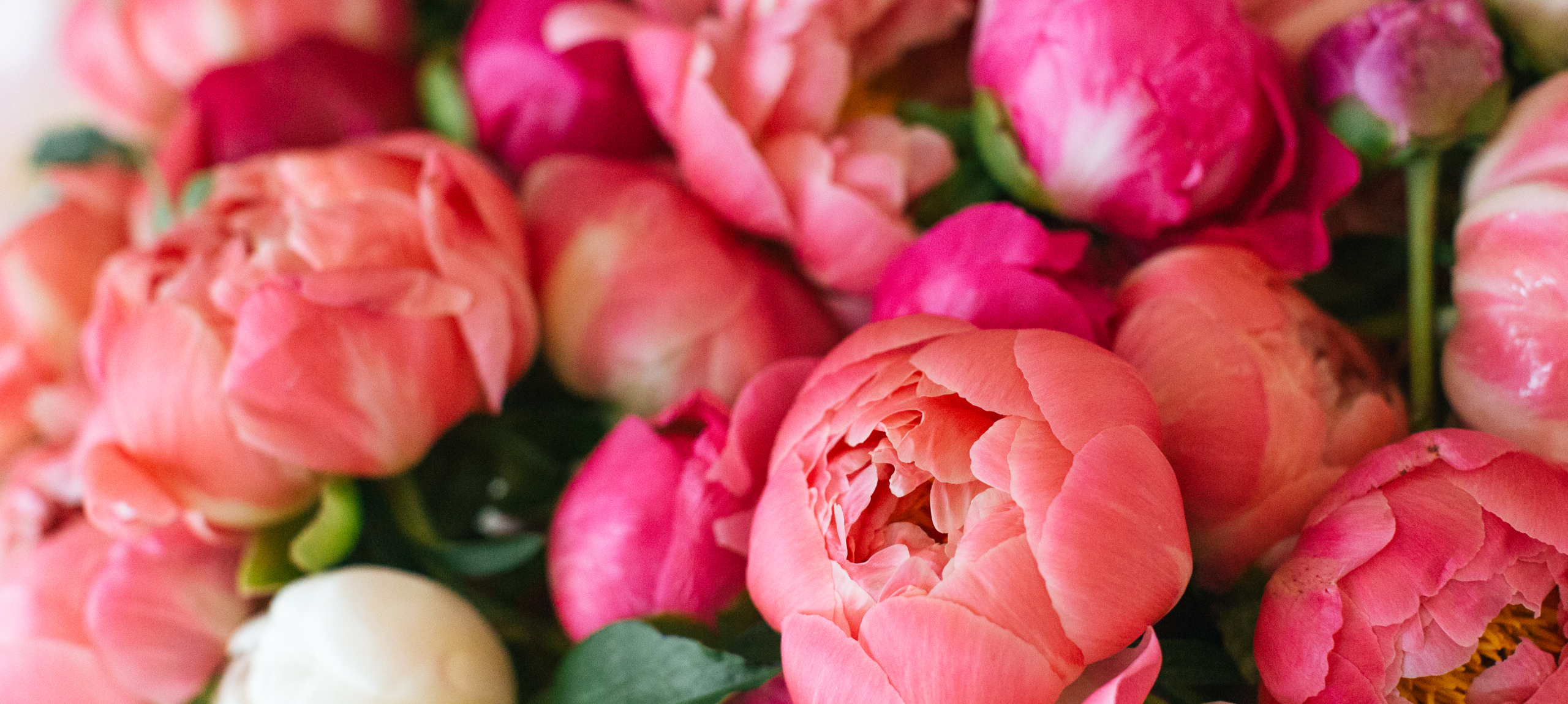 Balatonalmádi - Hunguest BÁL Resort - Pfingsten am Plattensee