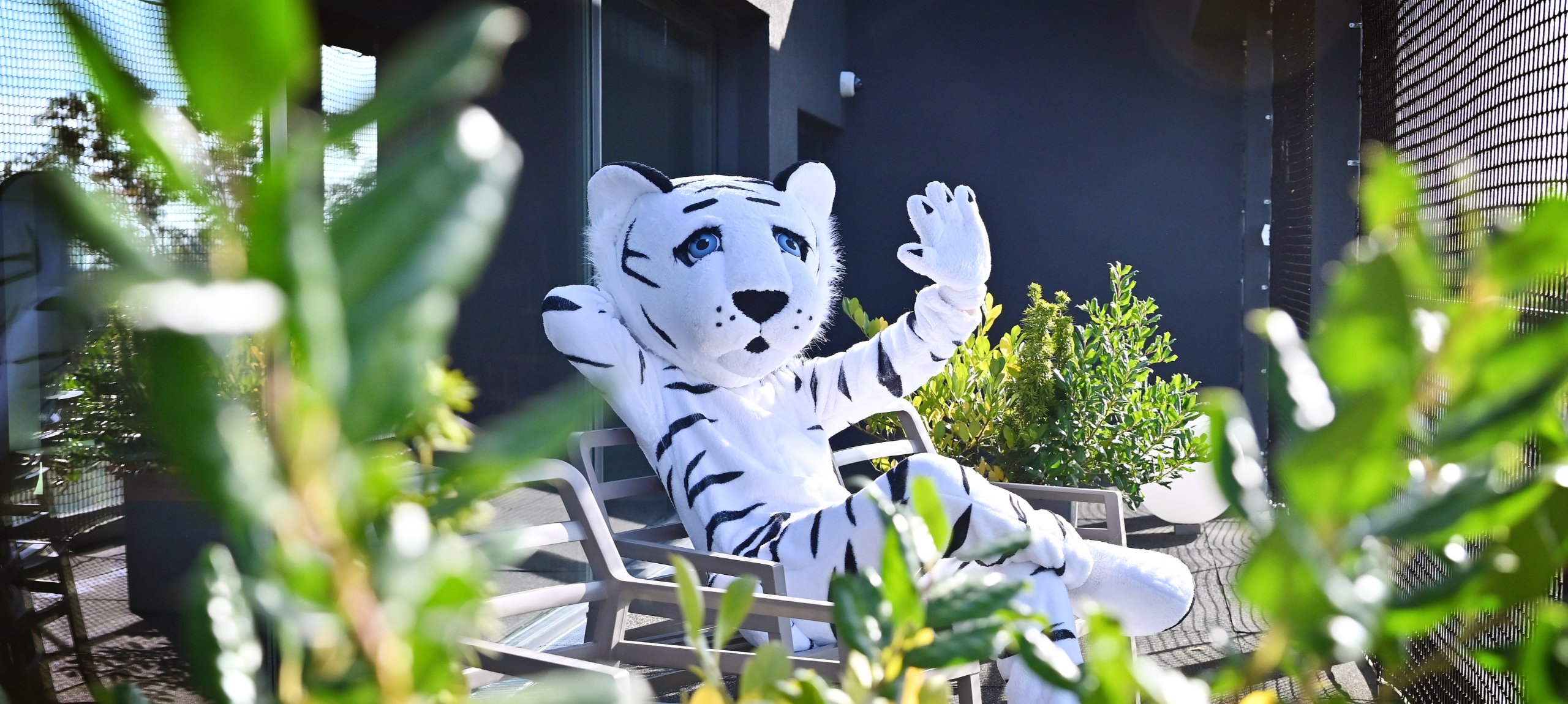 Nyíregyháza - Hunguest Hotel Sóstó - Tavaszi szünet Nyíregyházán